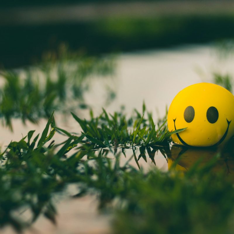 a yellow ball with a smiley face sitting in the grass